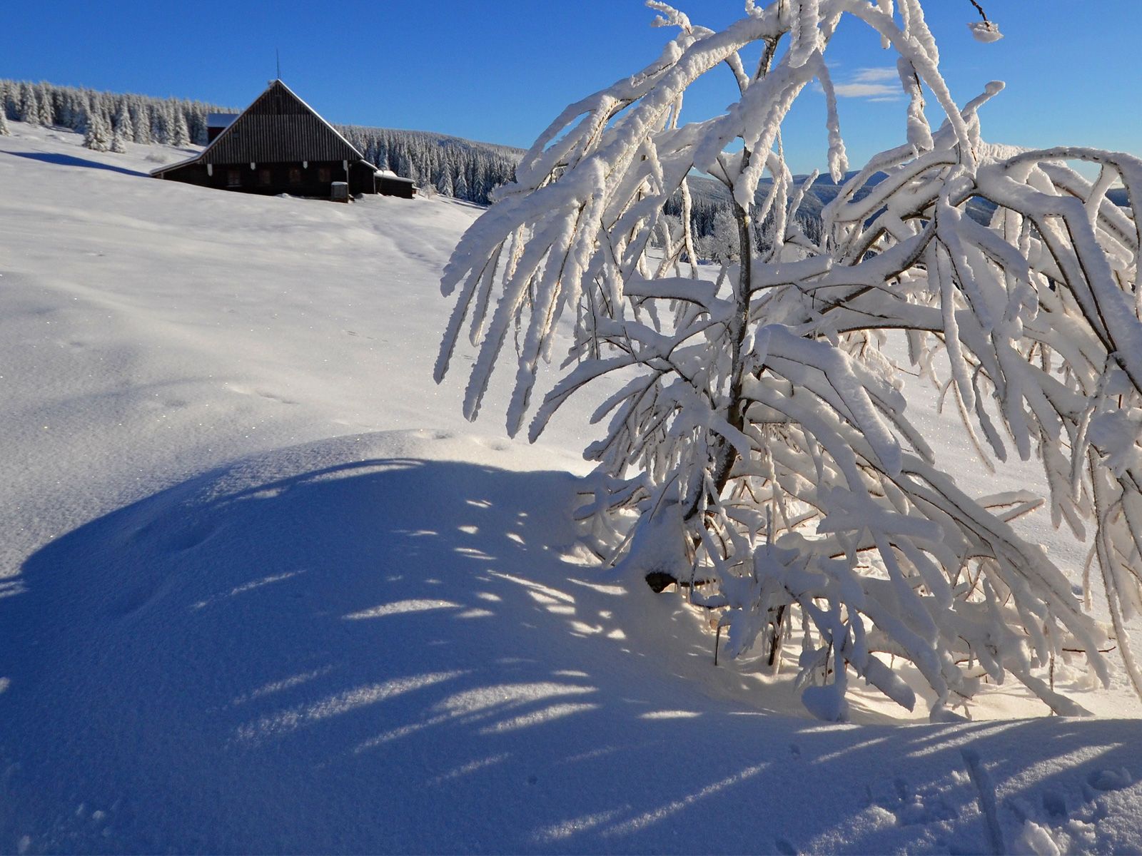 ilustrace na pozadí