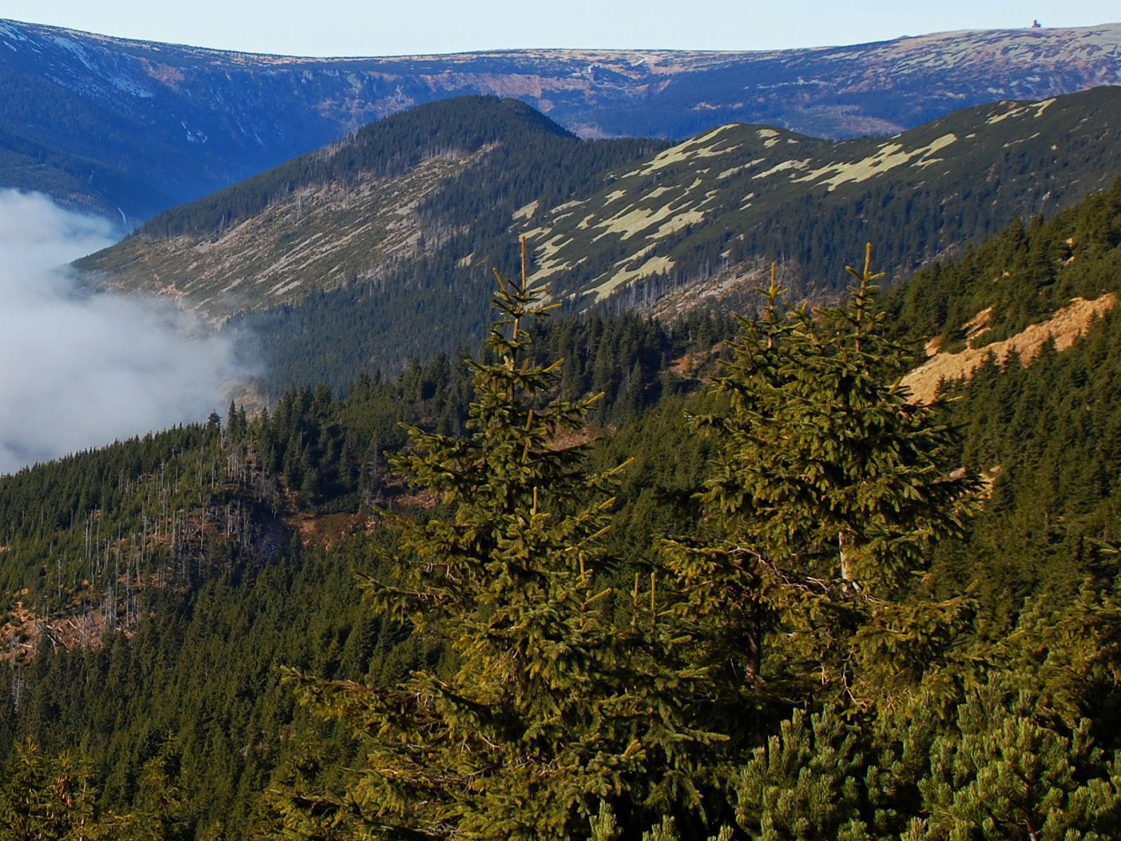 ilustrace na pozadí