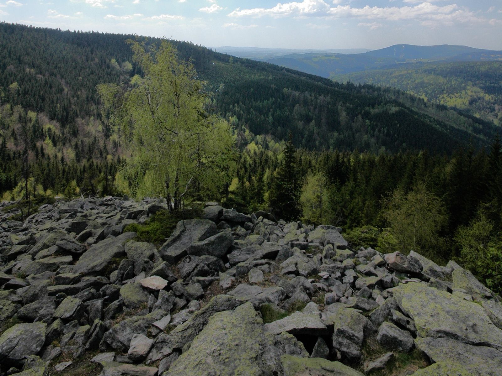 ilustrace na pozadí