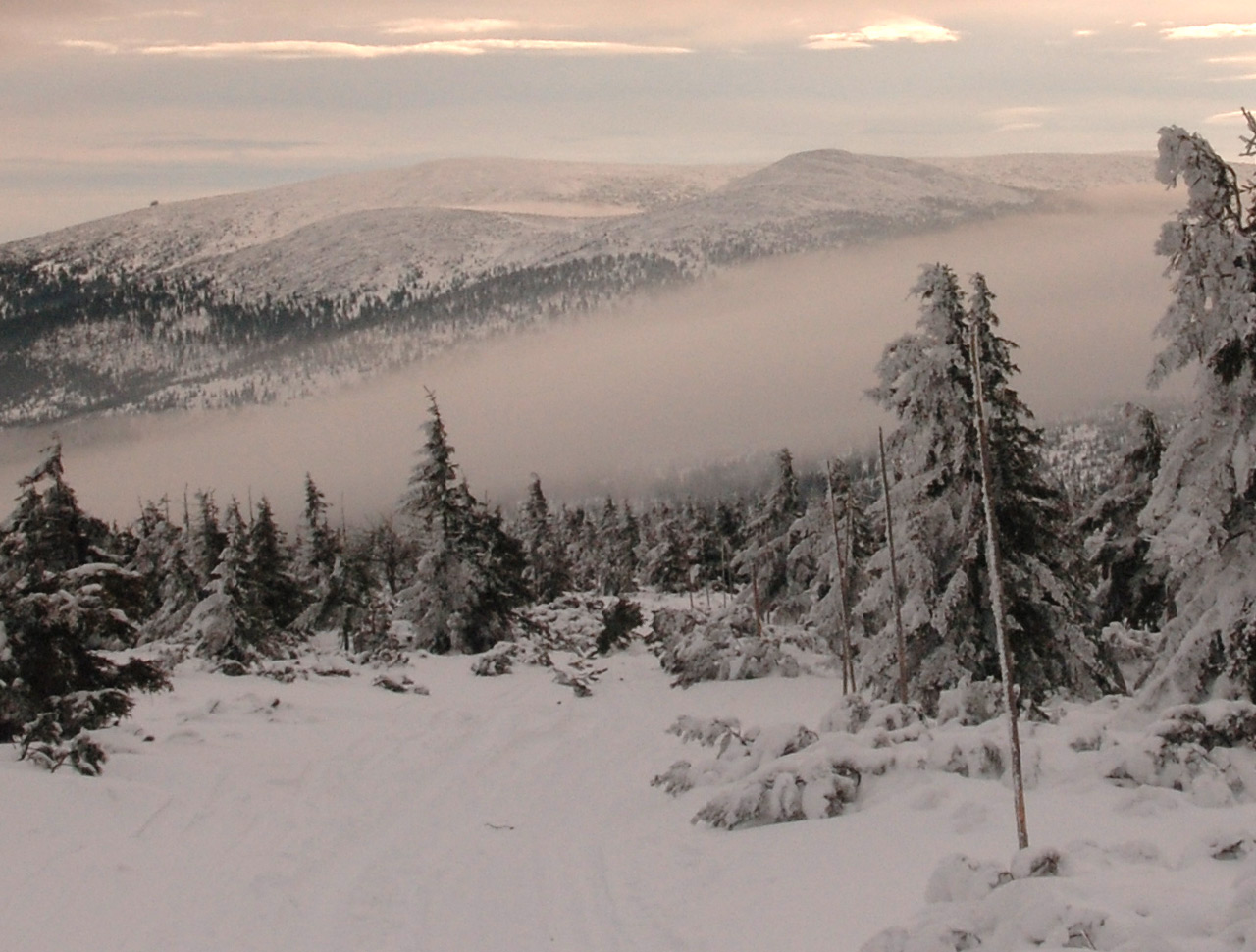 ilustrace na pozadí