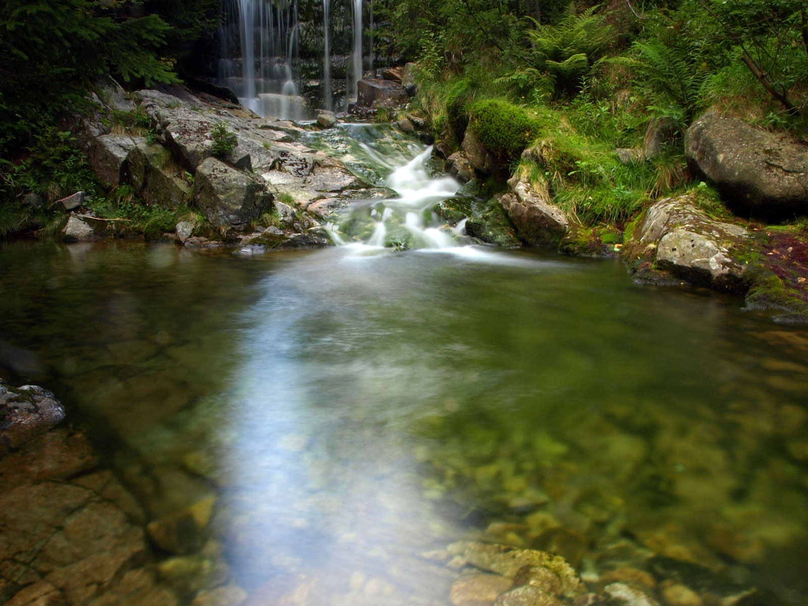 ilustrace na pozadí