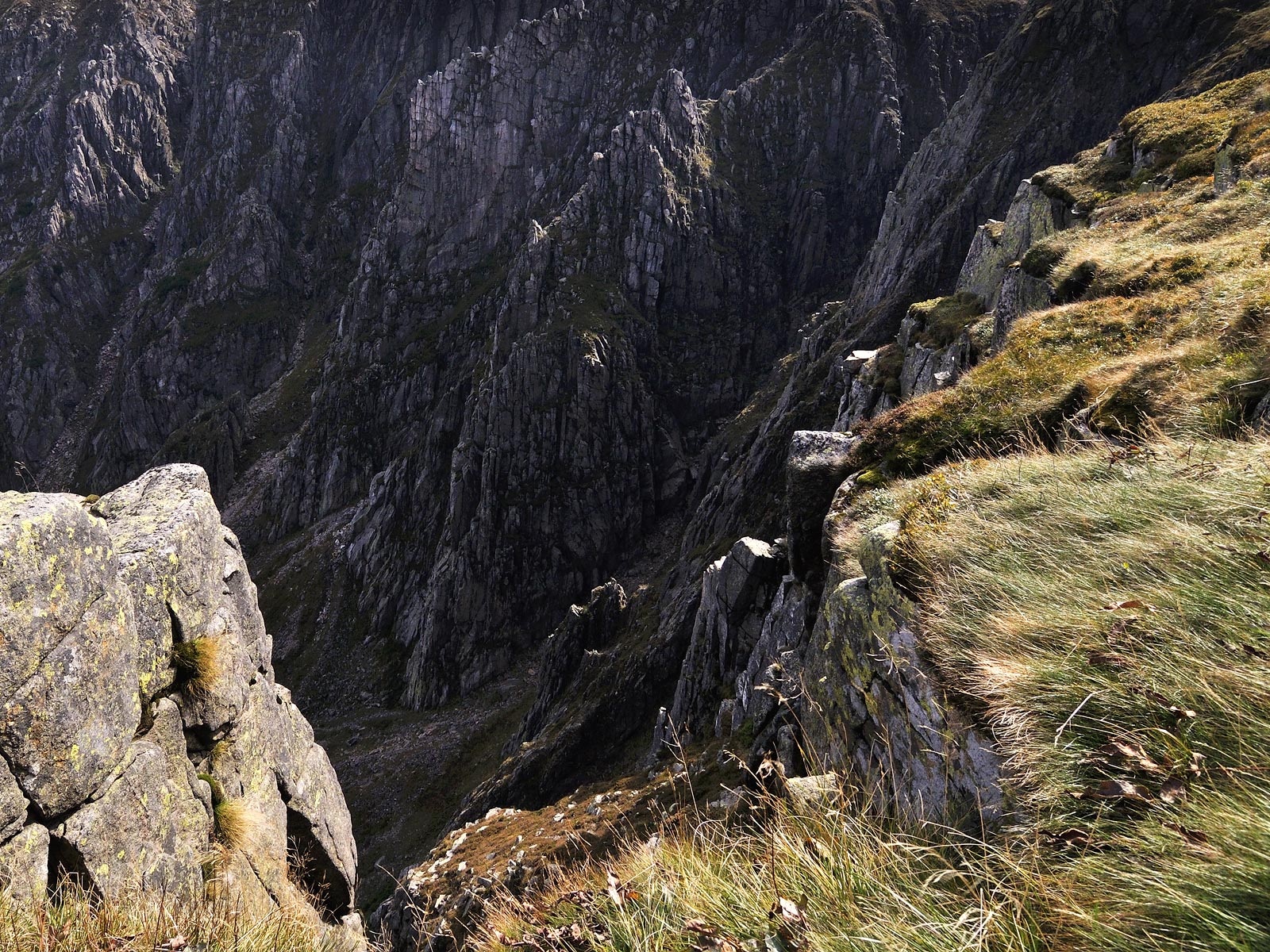 ilustrace na pozadí