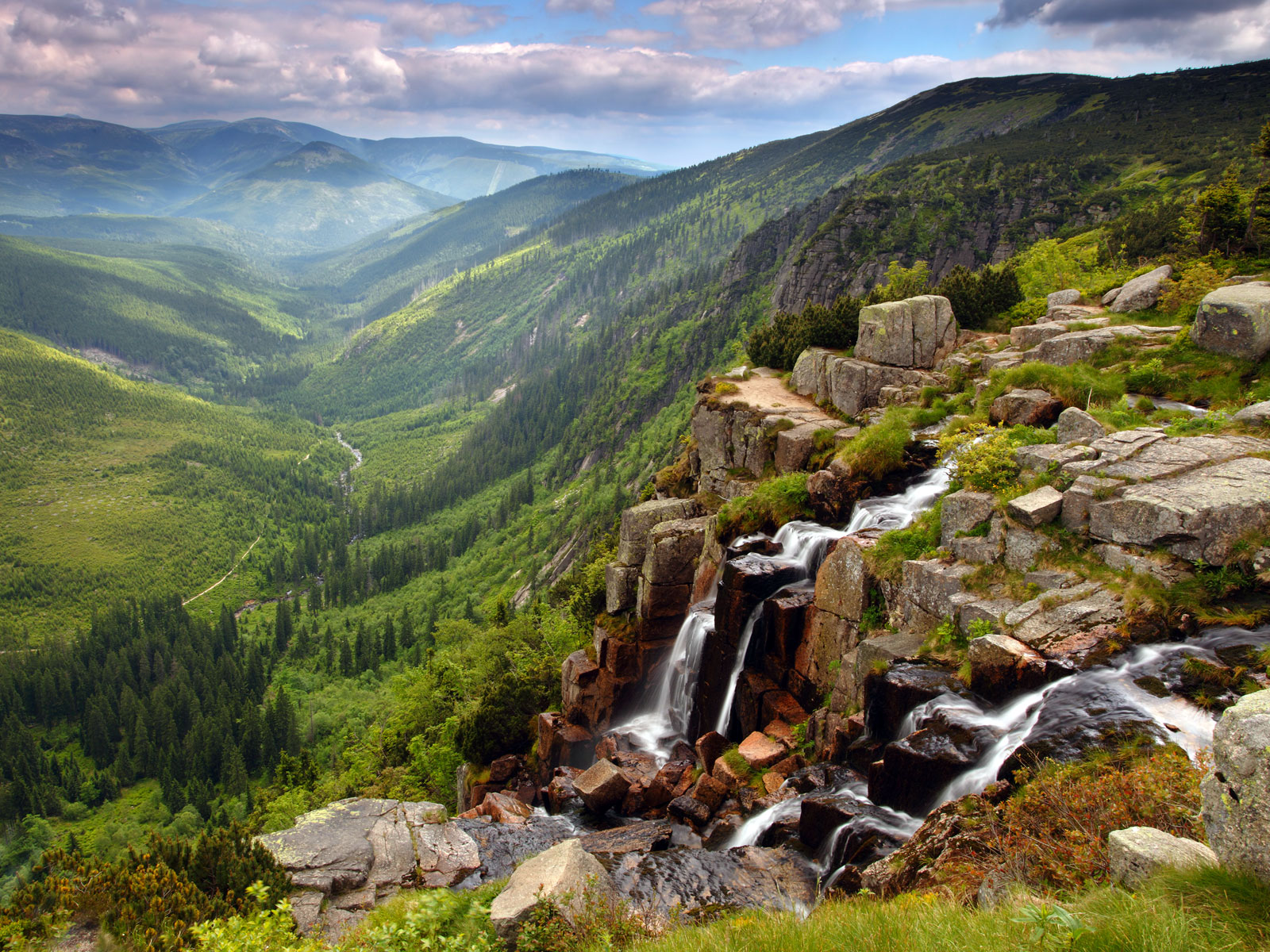 ilustrace na pozadí