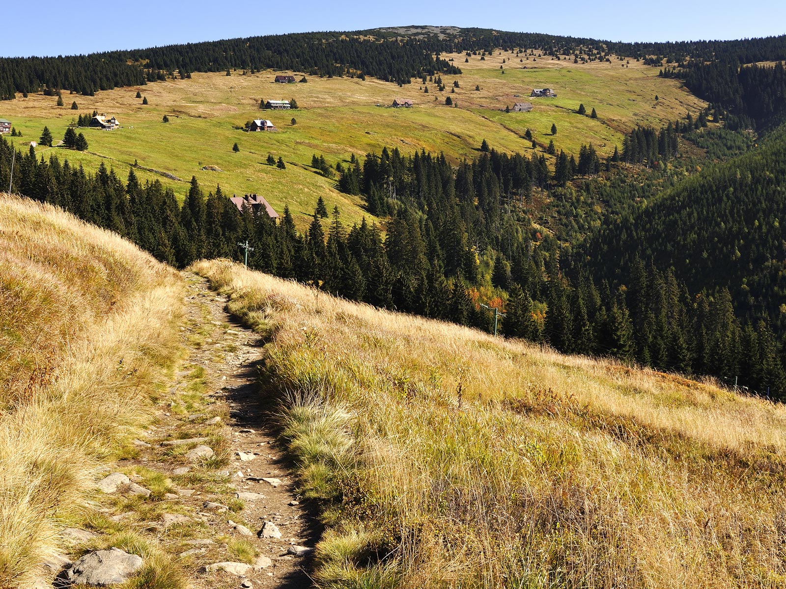 ilustrace na pozadí