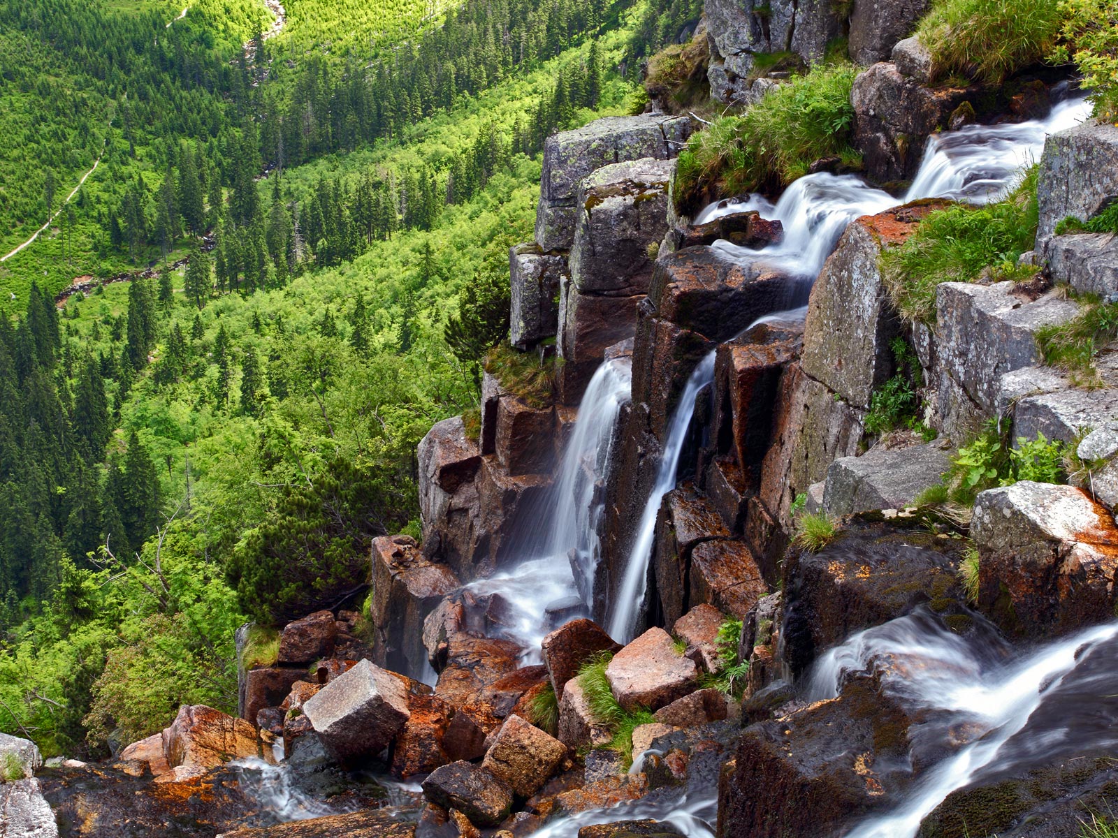 ilustrace na pozadí