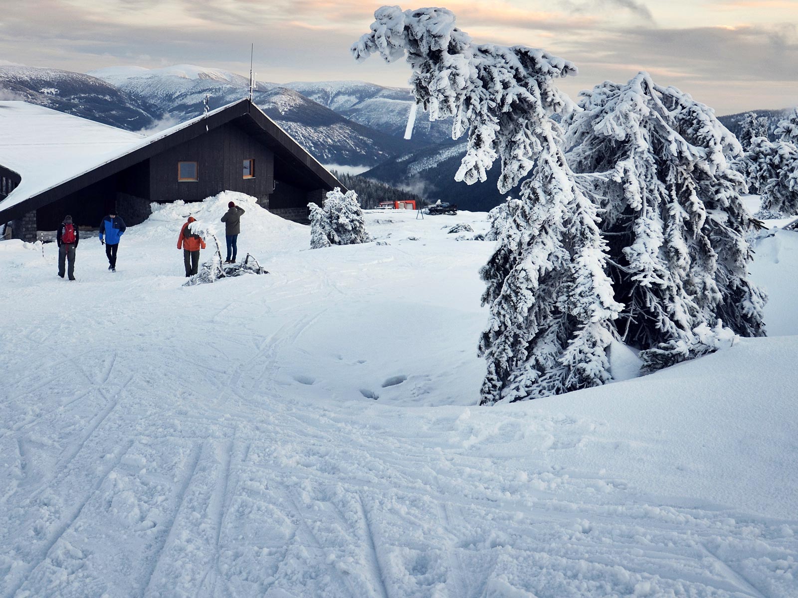 ilustrace na pozadí