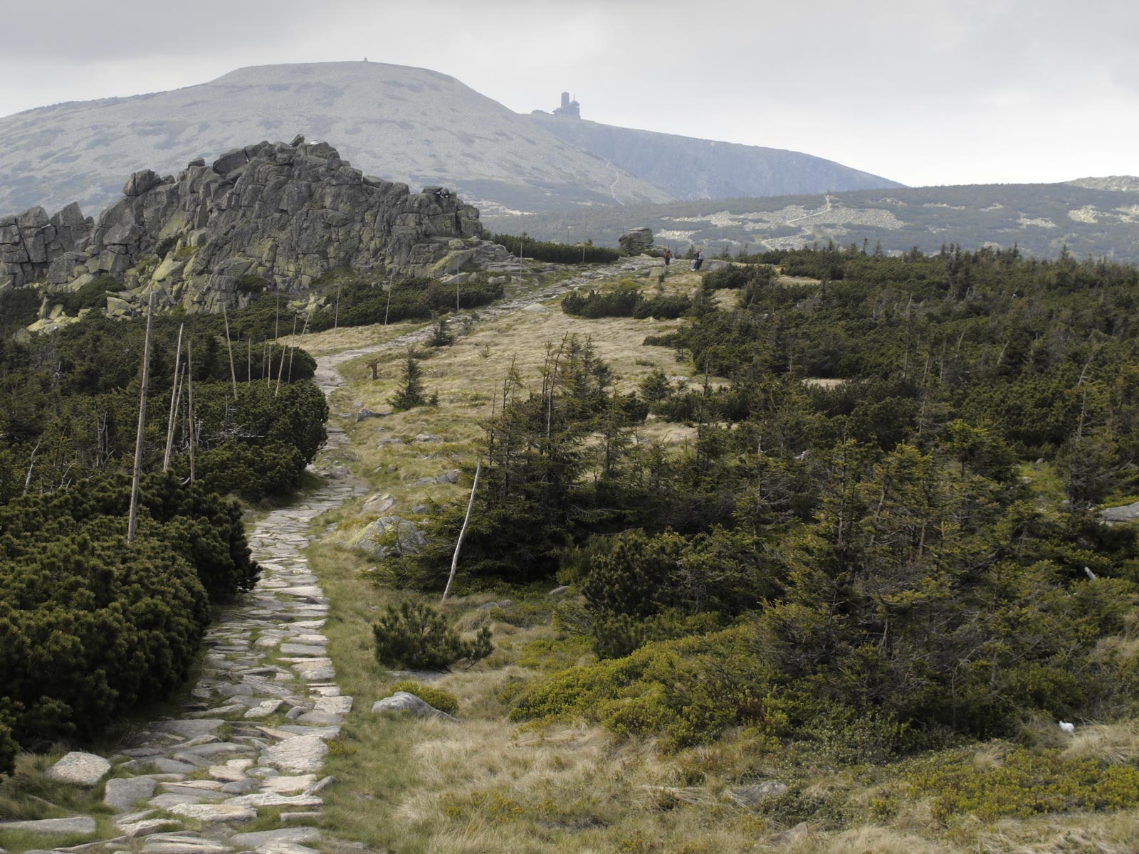 ilustrace na pozadí