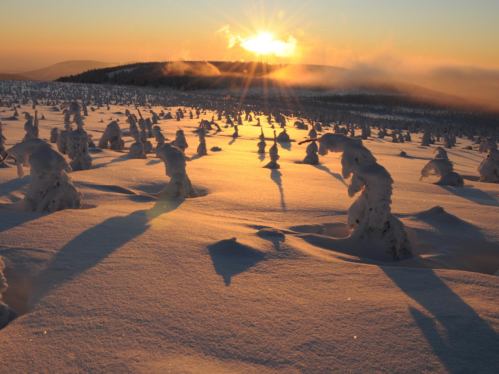 ilustrace na pozadí