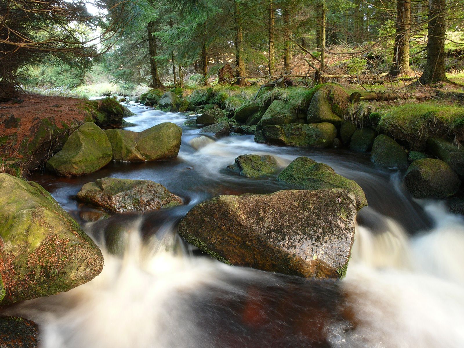 ilustrace na pozadí