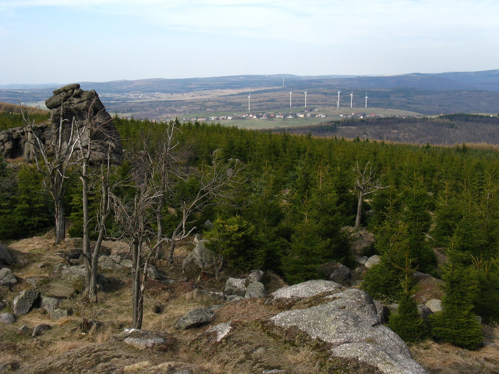 ilustrace na pozadí