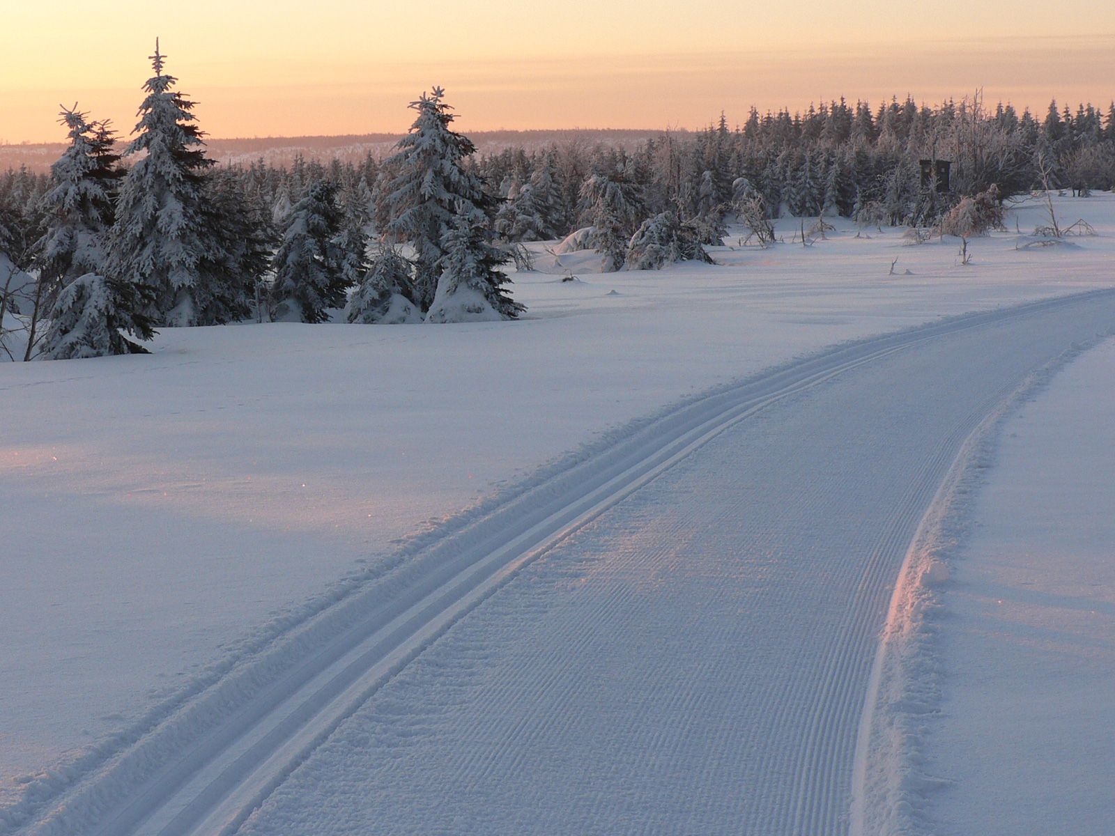 ilustrace na pozadí