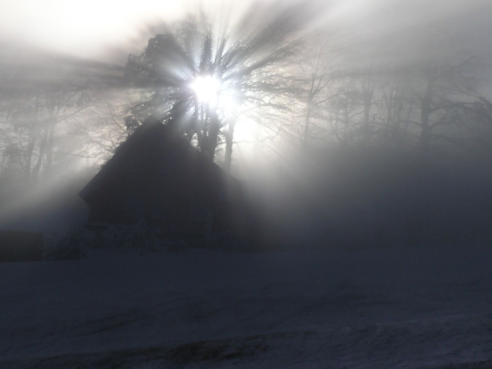 ilustrace na pozadí