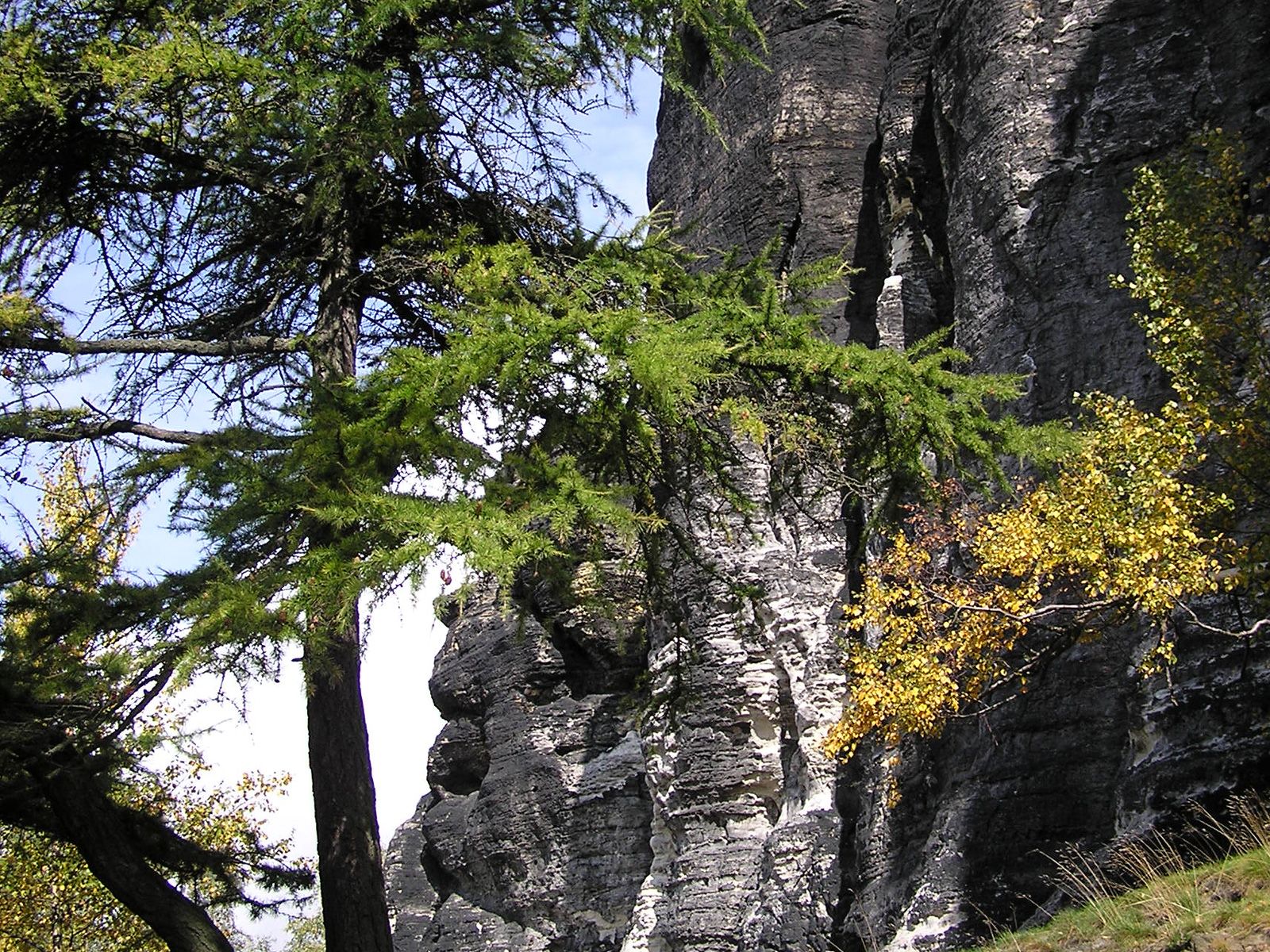 ilustrace na pozadí