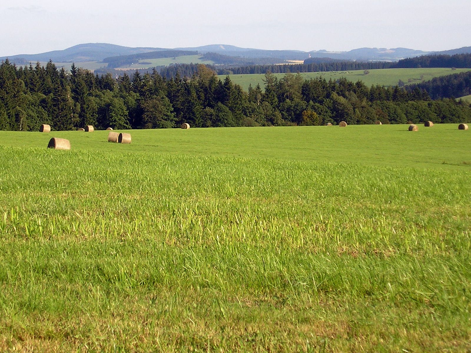 ilustrace na pozadí