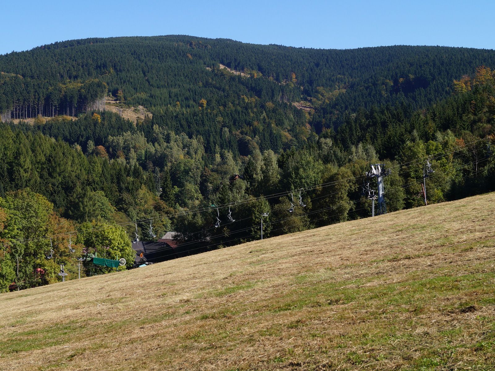 ilustrace na pozadí