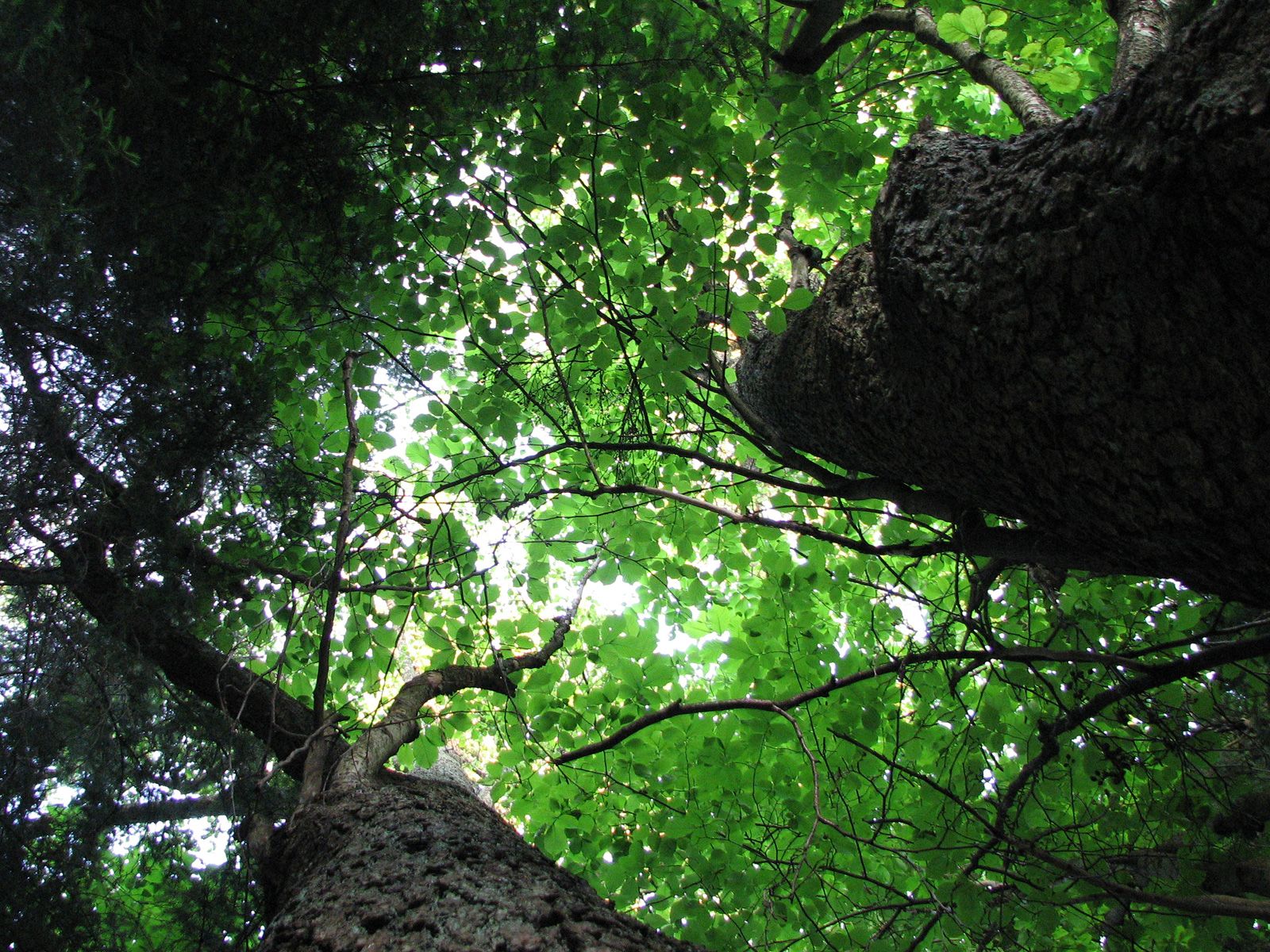 ilustrace na pozadí