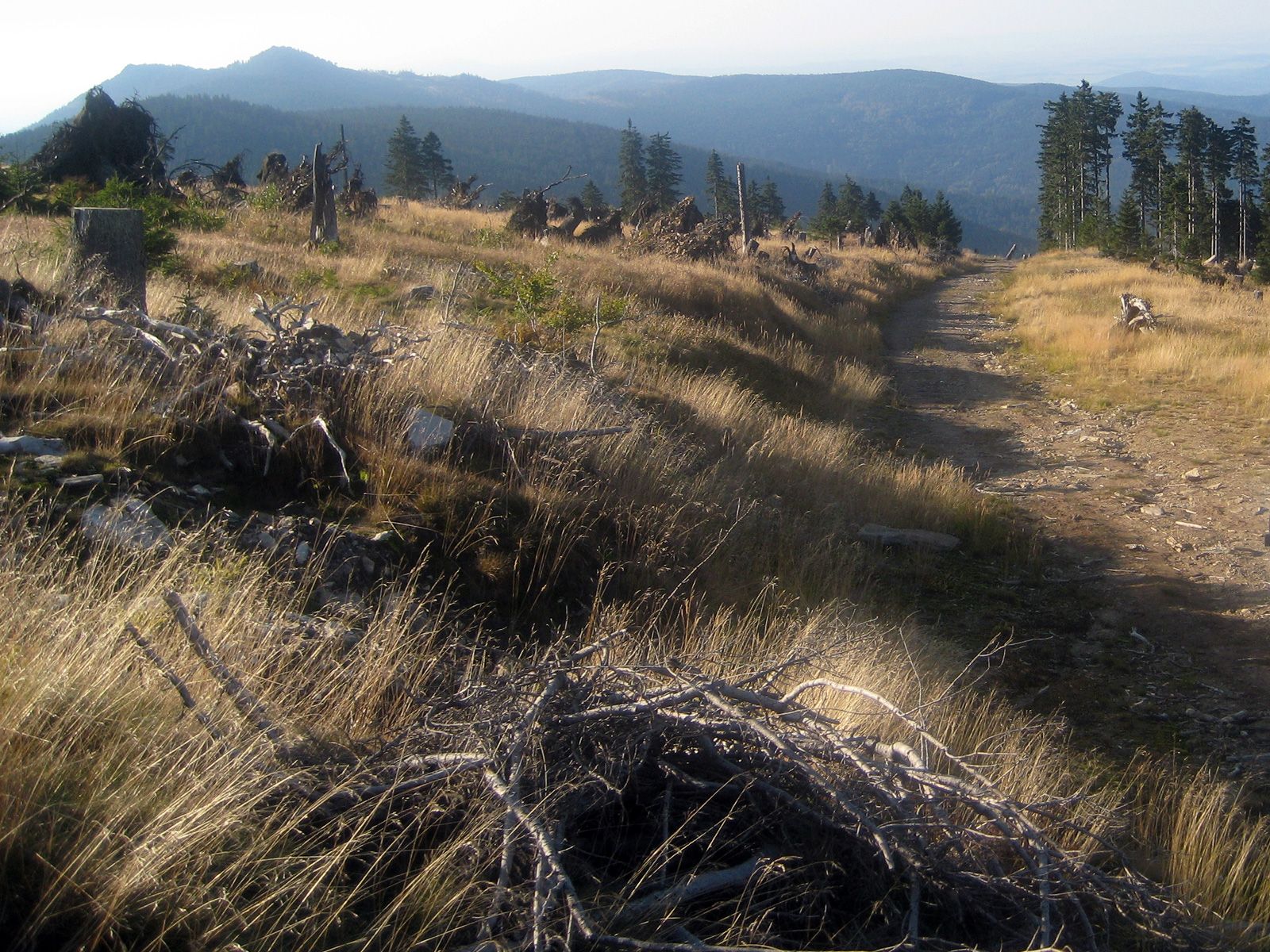 ilustrace na pozadí