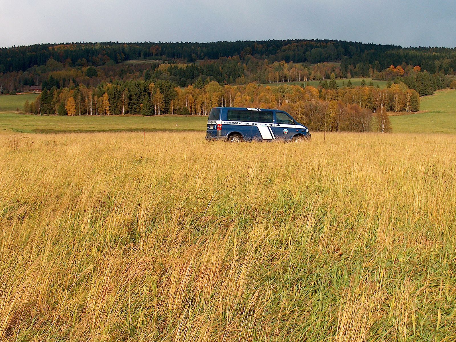 ilustrace na pozadí