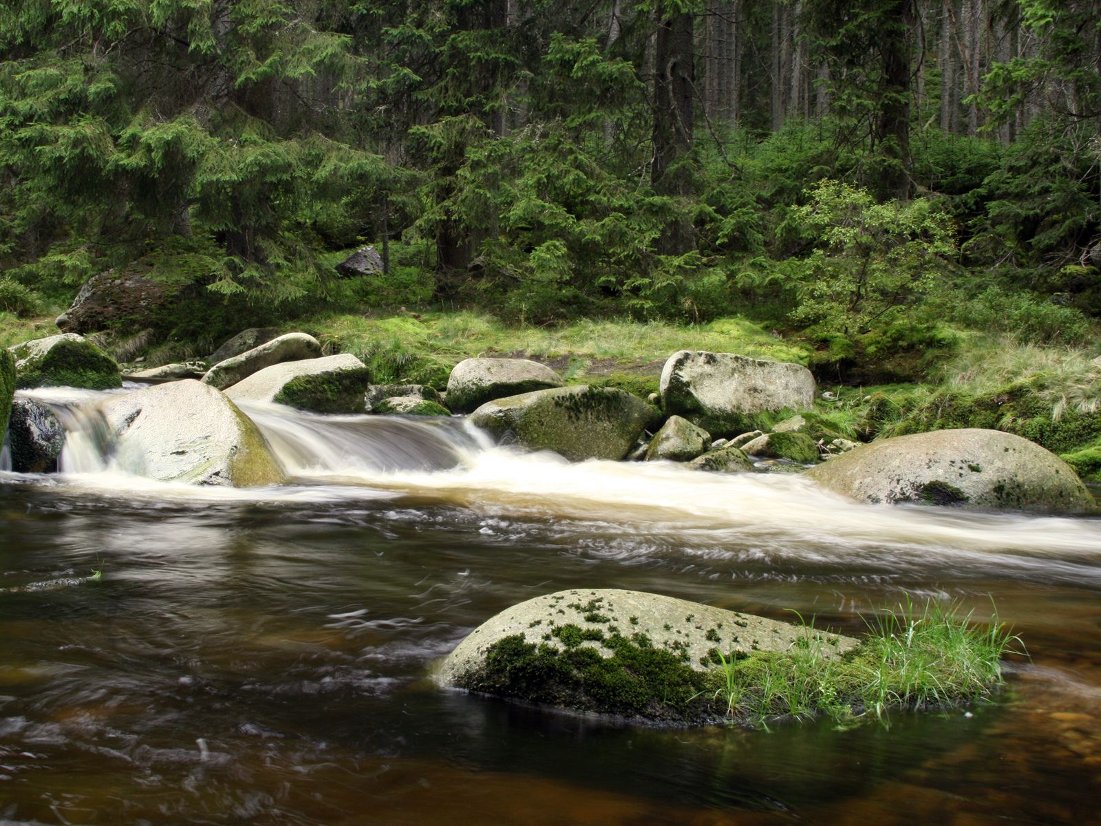 ilustrace na pozadí