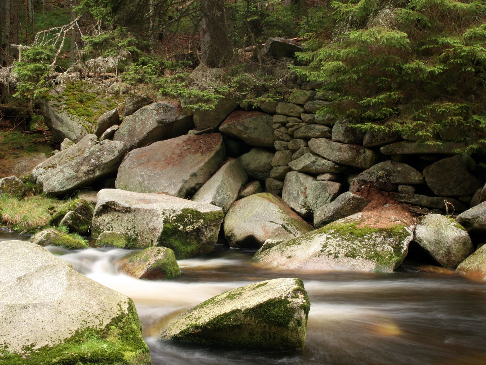 ilustrace na pozadí