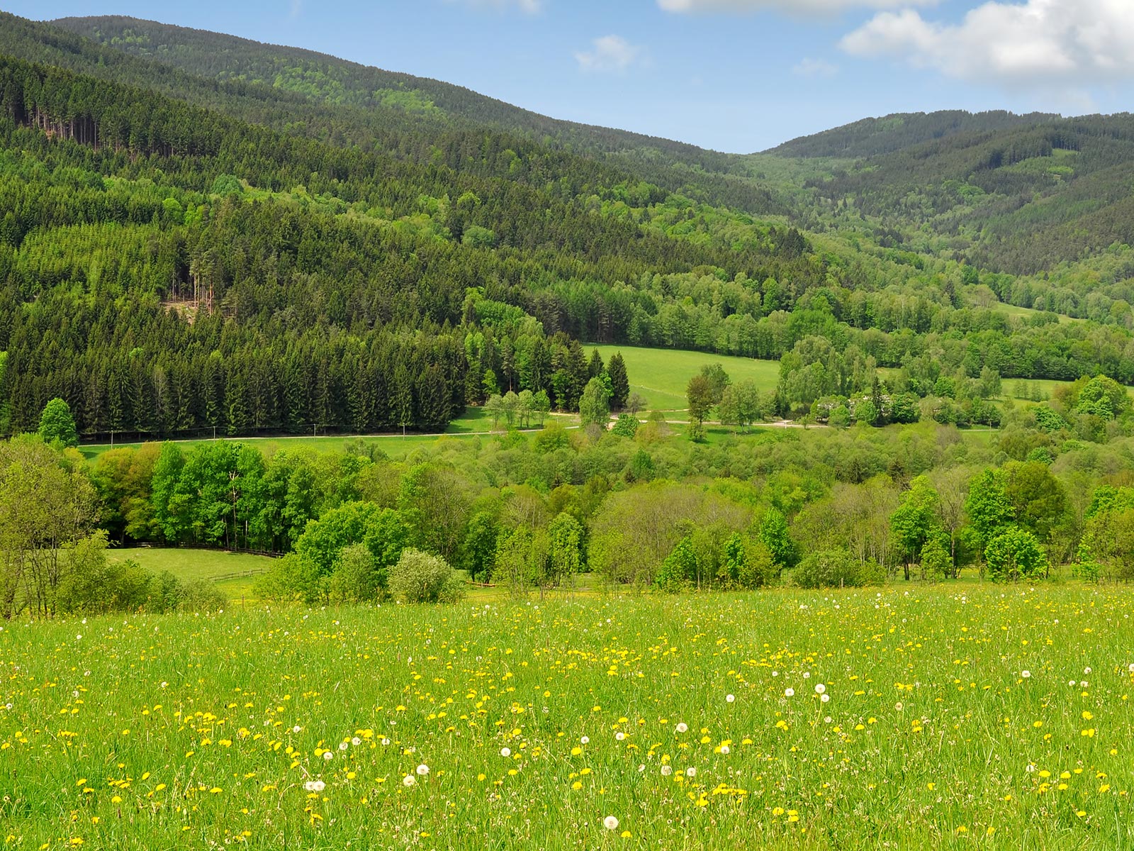 ilustrace na pozadí
