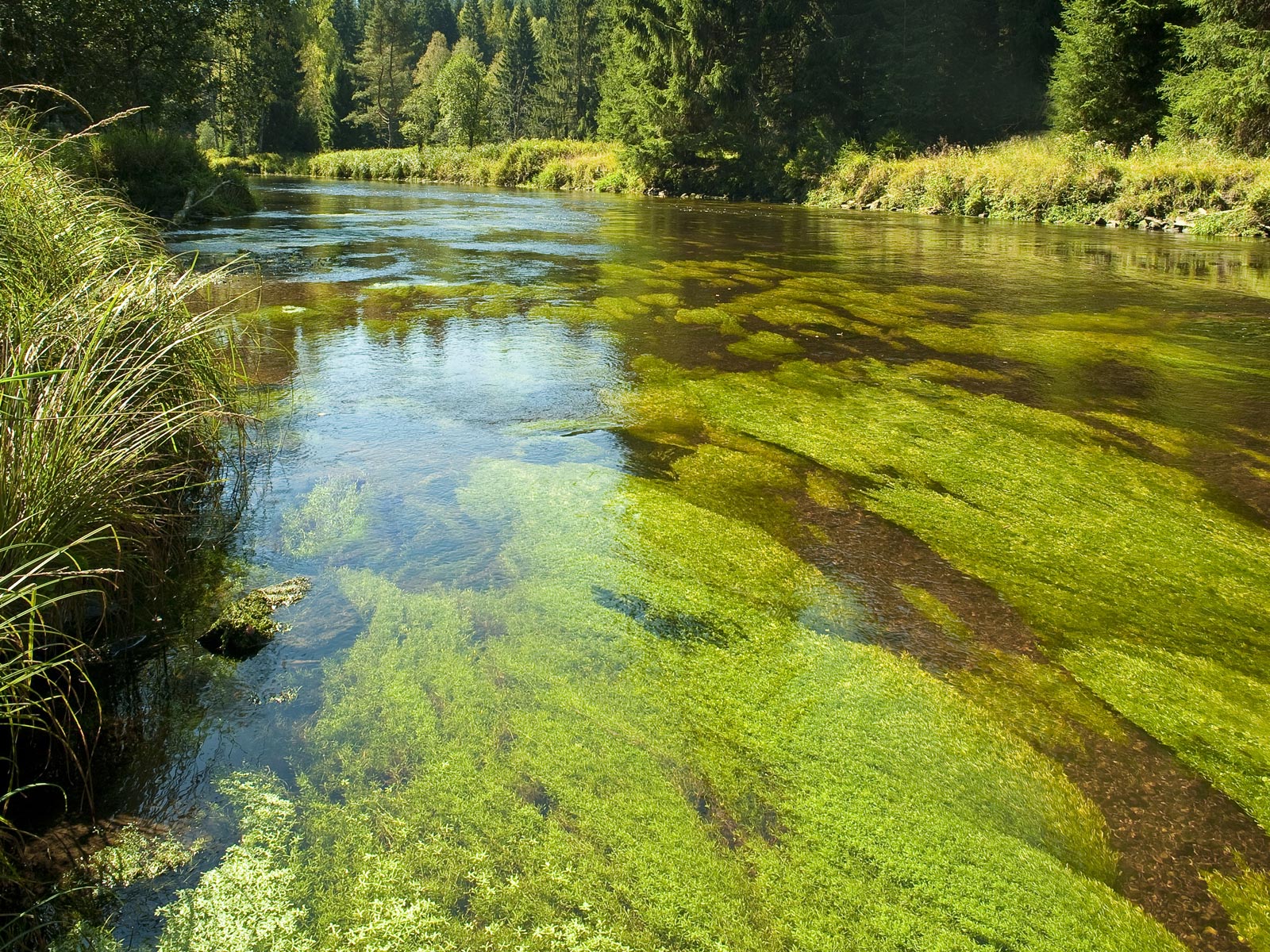 ilustrace na pozadí