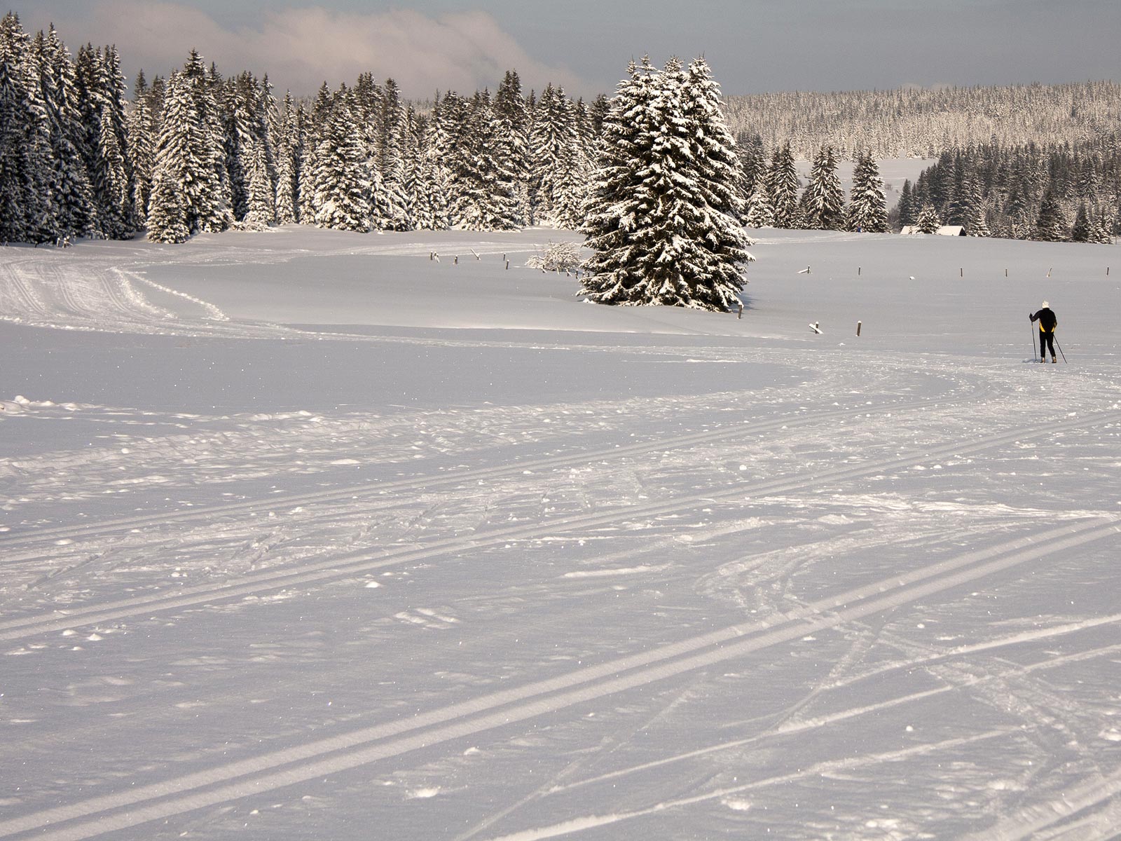 ilustrace na pozadí